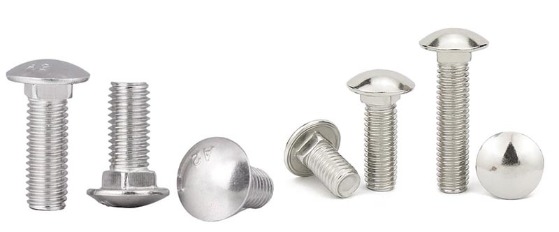 Mushroom head square neck bolt Mushroom head square neck bolt